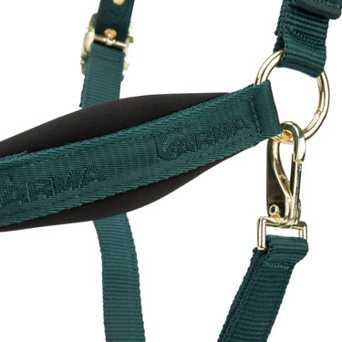 Shires Green ARMA Padded Headcollar| Online For Equine