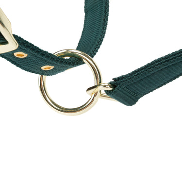 Shires Green ARMA Padded Headcollar| Online For Equine