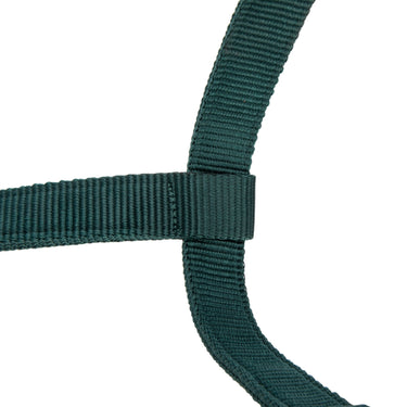 Shires Green ARMA Padded Headcollar| Online For Equine