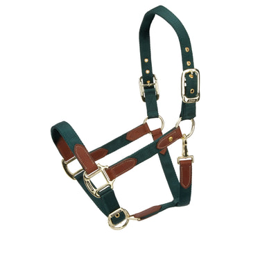 Shires Green ARMA Porto Headcollar| Online For Equine