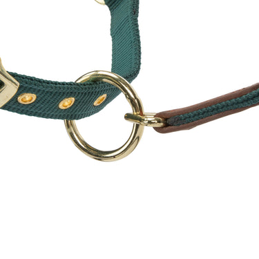 Shires Green ARMA Porto Headcollar| Online For Equine