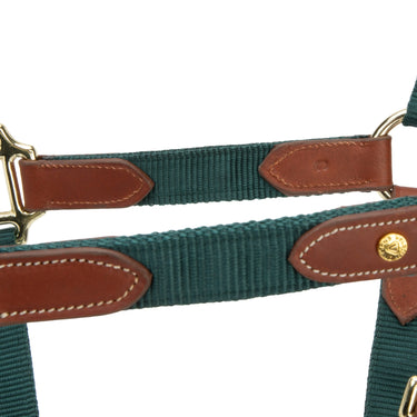 Shires Green ARMA Porto Headcollar| Online For Equine
