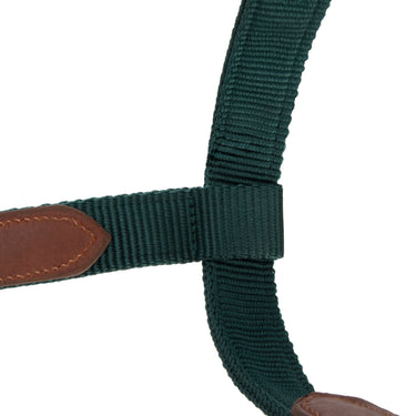 Shires Green ARMA Porto Headcollar| Online For Equine