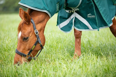 Shires Green Highlander Original 300g Turnout Rug Neck Cover| Online For Equine
