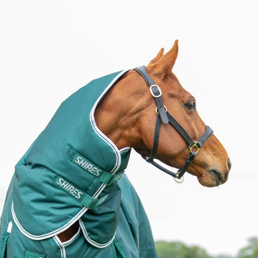 Shires Green Highlander Original 300g Turnout Rug Neck Cover| Online For Equine