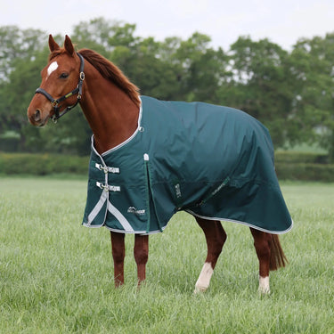 Shires Green Highlander Original 300g Turnout Rug| Online For Equine