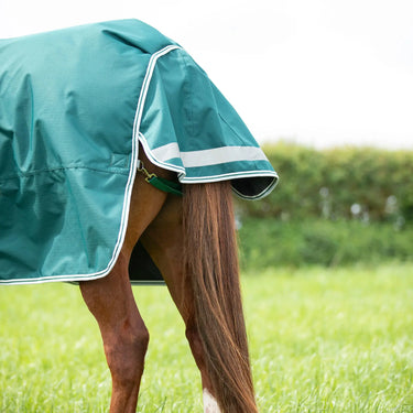 Shires Green Highlander Original 300g Turnout Rug| Online For Equine