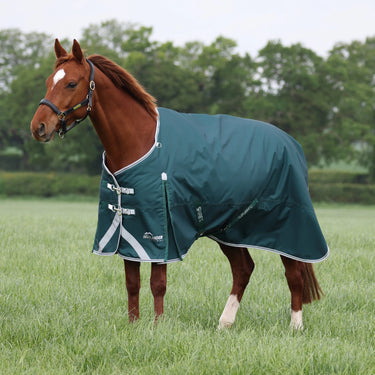 Shires Green Highlander Original 300g Turnout Rug| Online For Equine