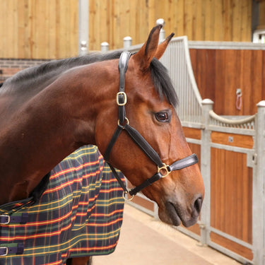 Shires Green Tartan Tempest Plus Lite Stable Rug| Online For Equine