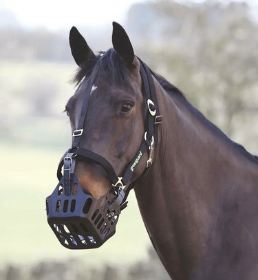 Buy Shires Greenguard Grazing Muzzle| Online for Equine