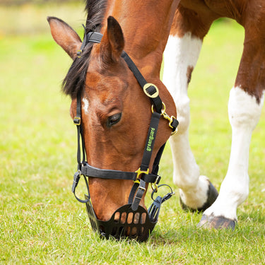 Shires Greenguard Grazing Muzzle| Online For Equine