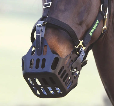 Buy Shires Greenguard Spare Strap-One Size| Online for Equine