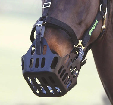 Buy Shires Greenguard Spare Strap-One Size| Online for Equine