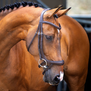 Shires Havana Lusso Ergonomic Curved Flash Bridle| Online For Equine