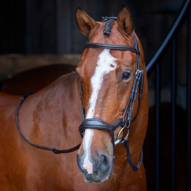 Shires Havana RAPIDA Ergonomic Flash Bridle| Online For Equine