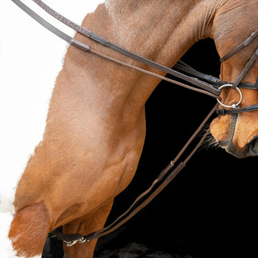 Shires Havana Velociti Gara Elasticated Draw Reins| Online For Equine