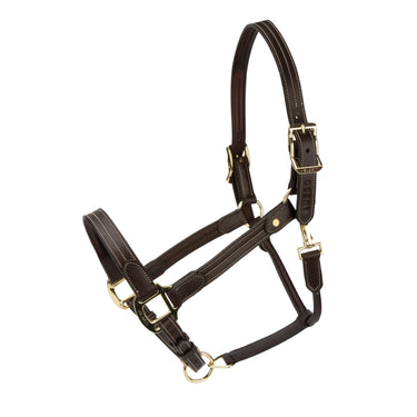 Shires Havana Velociti Lusso Girona Leather Headcollar| Online For Equine