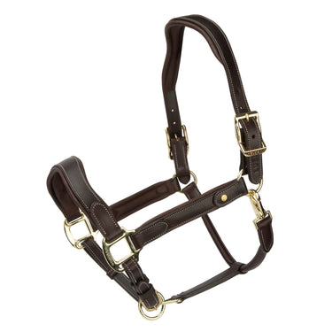 Shires Havana Velociti Lusso Lorca Leather Headcollar| Online For Equine