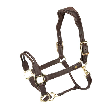 Shires Havana Velociti Lusso Soria Leather Headcollar| Online For Equine