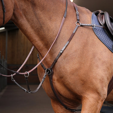 Shires Havana Velociti Rapida Elastic Breastplate| Online For Equine