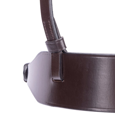 Shires Havana Velociti Rapida Show Hunter Cavesson Noseband| Online For Equine