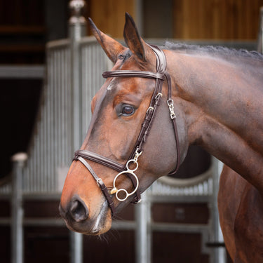 Shires Havana Velociti Rapida Training Bridle| Online For Equine