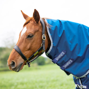 Shires Highlander Original 200g Blue Neck Cover| Online For Equine