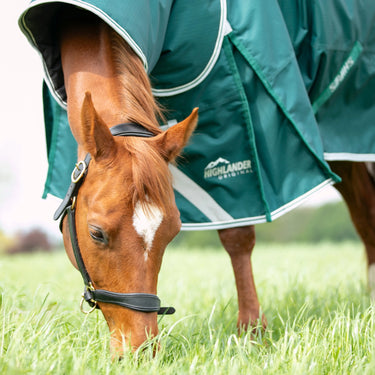 Buy Shires Highlander Original 300 Turnout Rug & Neck Set | Online for Equine