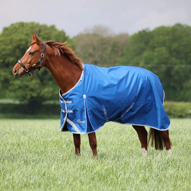 Shires Highlander Original Blue 200g Turnout Rug| Online For Equine