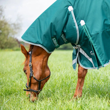 Buy the Shires Highlander Original Green 300g Combo Turnout Rug | Online for Equine