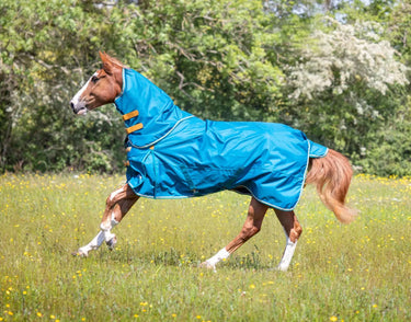 Buy Shires Highlander Original Lite Turnout Rug & Neck Set| Online for Equine