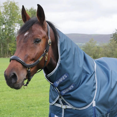 Buy Shires Highlander Original Ocean 50g Turnout Rug & Neck Set| Online for Equine