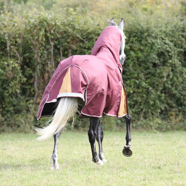 Buy Shires Highlander Plus 100 Combo Turnout Rug| Online for Equine