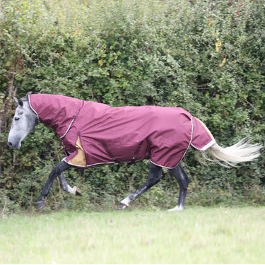 Buy Shires Highlander Plus 100 Combo Turnout Rug| Online for Equine