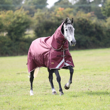 Buy Shires Highlander Plus 100 Combo Turnout Rug| Online for Equine