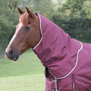 Buy Shires Highlander Plus 100 Turnout Rug Neck Cover| Online for Equine