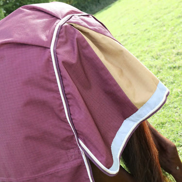 Buy Shires Highlander Plus 100 Turnout Rug| Online for Equine
