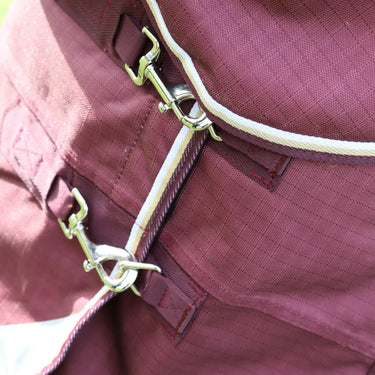 Buy Shires Highlander Plus 100 Turnout Rug| Online for Equine