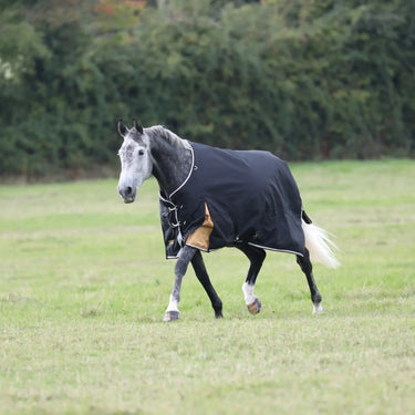 Shires Highlander Plus 200g Standard Neck Turnout Rug| Online For Equine