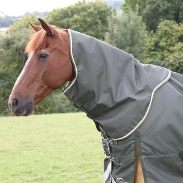 Buy Shires Highlander Plus 50 Turnout Rug Neck Cover| Online for Equine