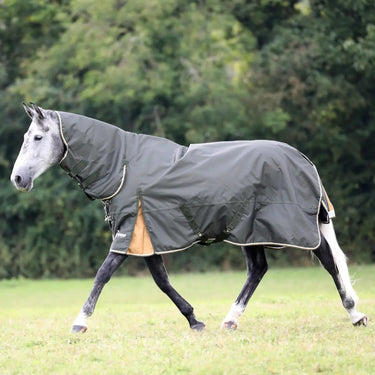 Buy Shires Highlander Plus 50g Combo Turnout Rug| Online for Equine