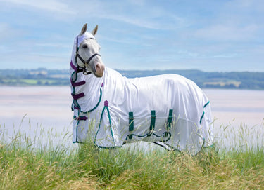Buy Shires Highlander Plus Fly Sheet Combo Rug| Online for Equine