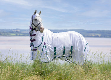 Buy Shires Highlander Plus Fly Sheet Combo Rug| Online for Equine