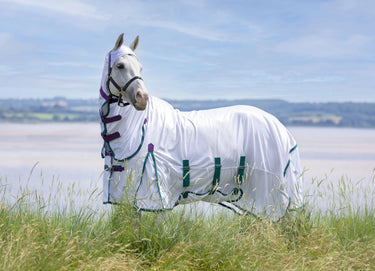 Buy Shires Highlander Plus Fly Sheet Combo Rug| Online for Equine