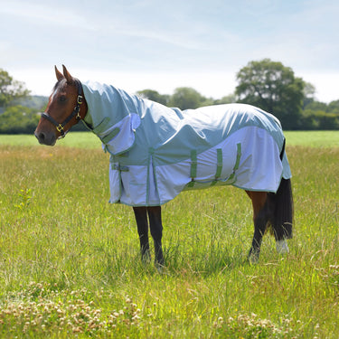 Shires Highlander Plus Sage Waterproof Fly Combo Rug| Online For Equine