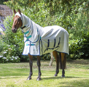 Buy Shires Highlander Plus Sweet-Itch Combo Rug| Online for Equine