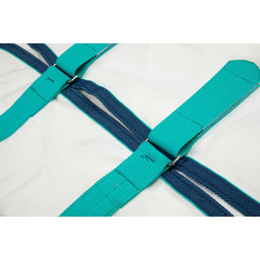 Buy Shires Highlander Plus Sweet-Itch Combo Rug| Online for Equine