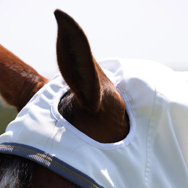 Shires Highlander Plus Sweet-Itch Combo Rug| Online For Equine