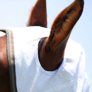 Shires Highlander Plus White Sun Shade Fly Combo Rug| Online For Equine