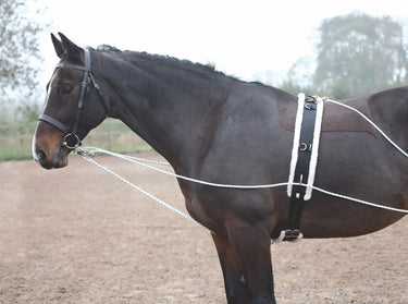 Shires Lunging Aid-One Size-Black| Online For Equine